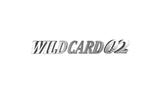 WILDCARD#01.jpg